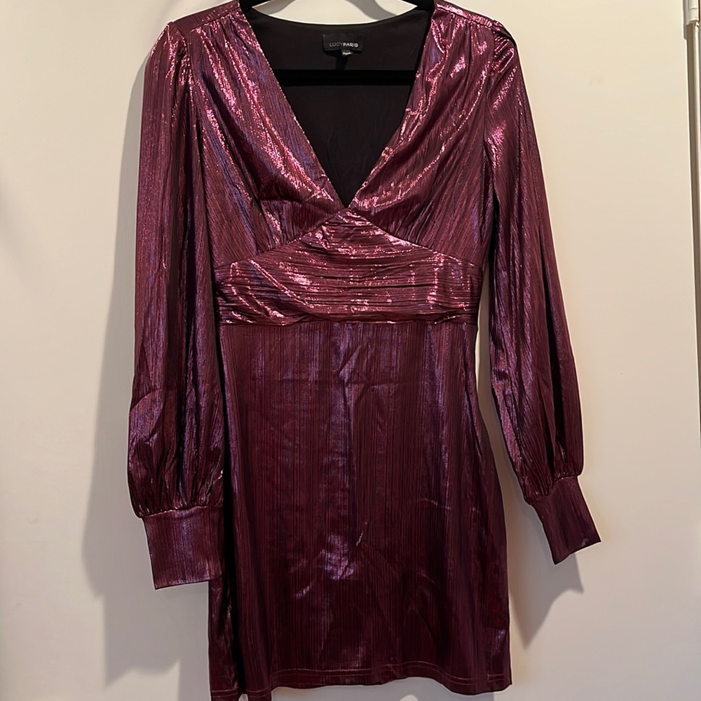 Lucy Paris Dress